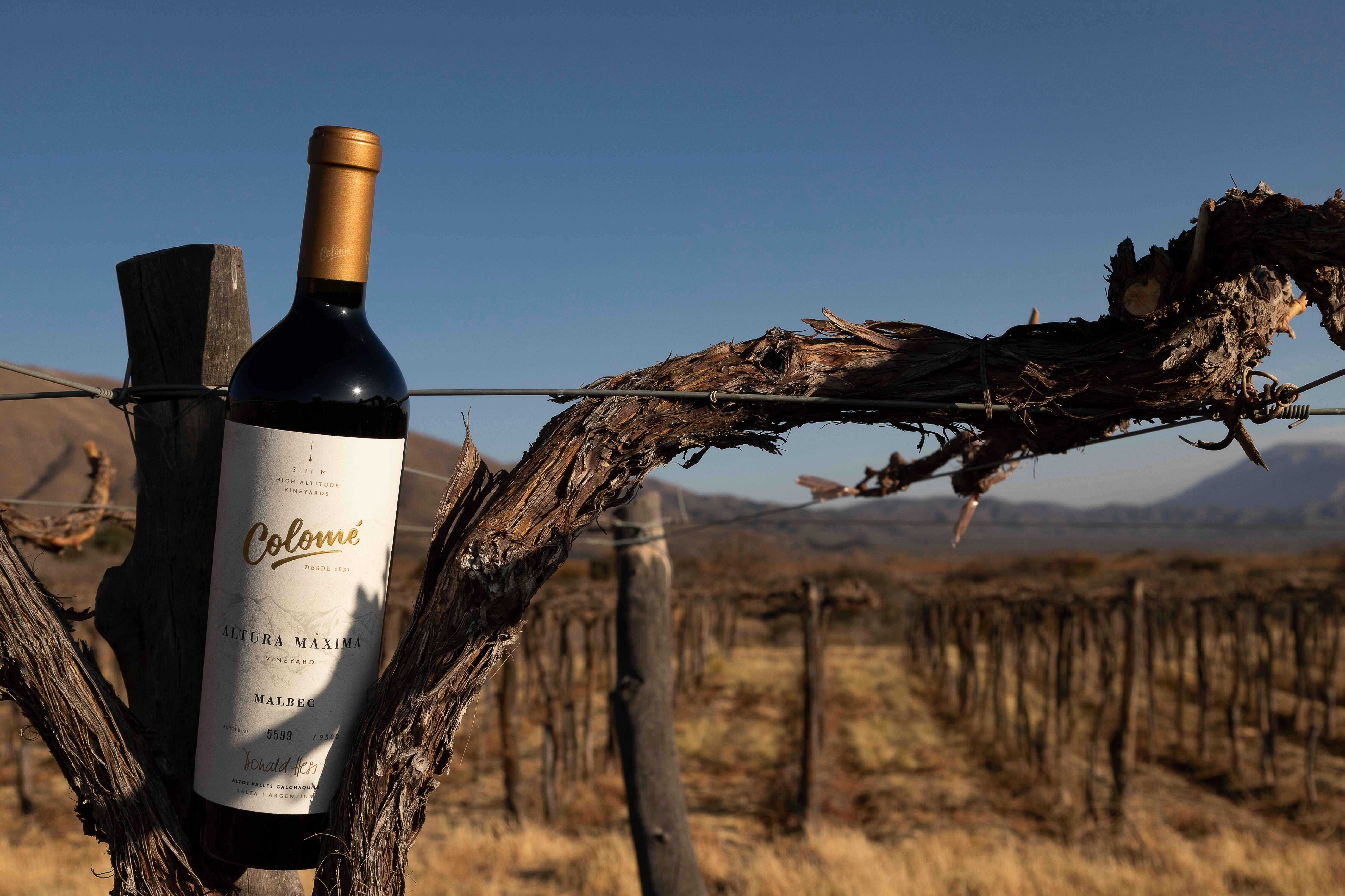 Colomé Altura Máxima Malbec